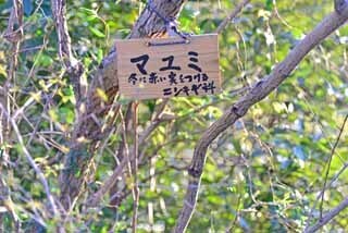 DSC_1262-2.jpg