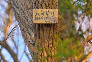 DSC_1264-2.jpg