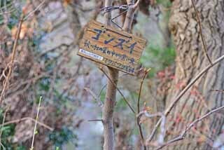 DSC_1267-2.jpg