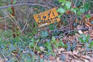 DSC_1268-2.jpg