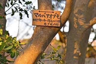 DSC_1270-2.jpg