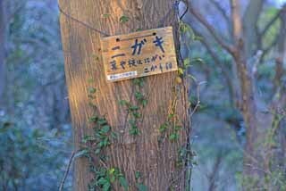DSC_1272-2.jpg