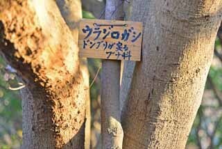 DSC_1273-2.jpg