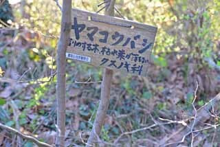 DSC_1274-2.jpg