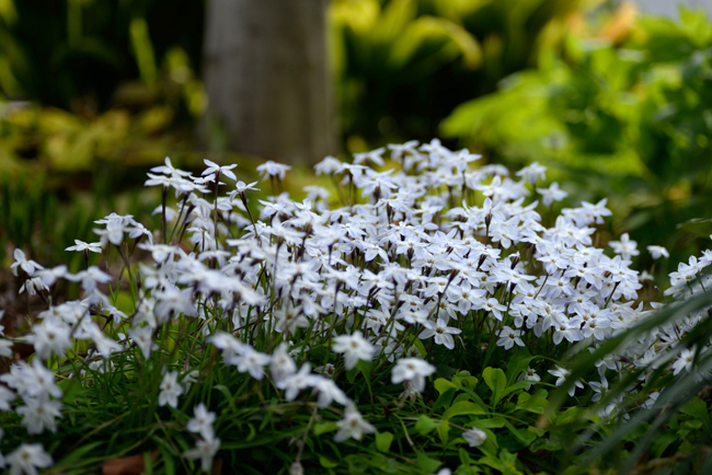 DSC_1277-2.jpg