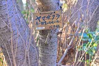 DSC_1278-2.jpg