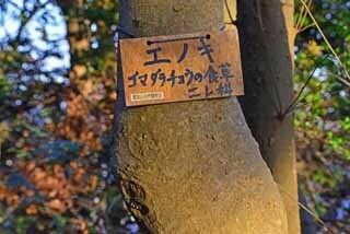 DSC_1285-2.jpg