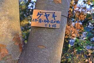 DSC_1286-2.jpg