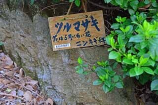 DSC_1294-2.jpg