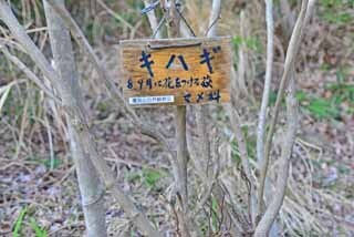DSC_1296-2.jpg