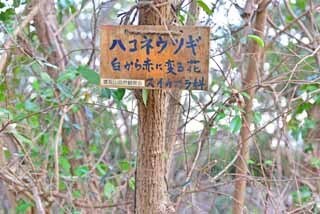 DSC_1297-2.jpg
