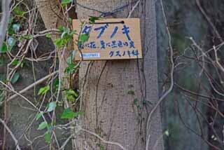 DSC_1298-2.jpg