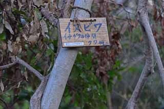 DSC_1300-2.jpg