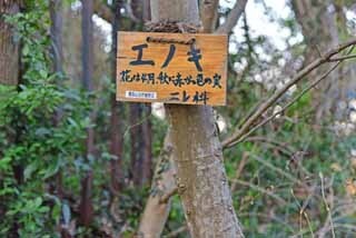 DSC_1301-2.jpg