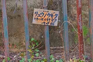 DSC_1305-2.jpg