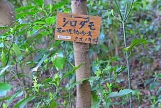 DSC_1308-2.jpg