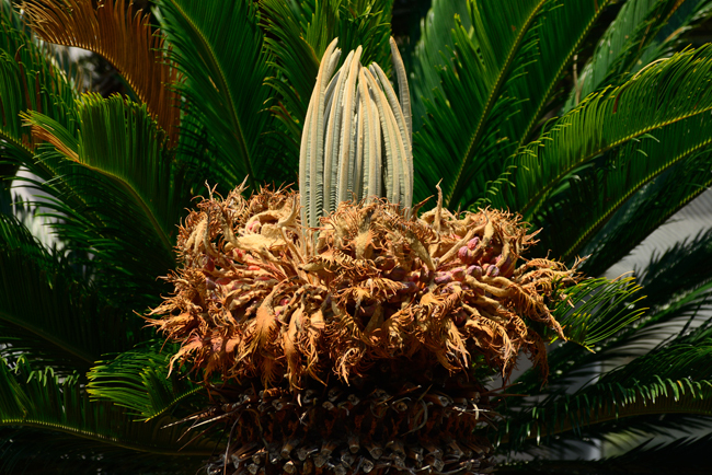 DSC_1352-2.jpg