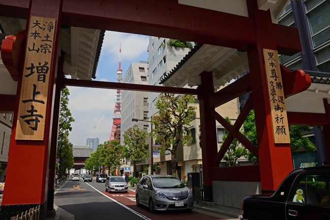 DSC_1536-2.jpg