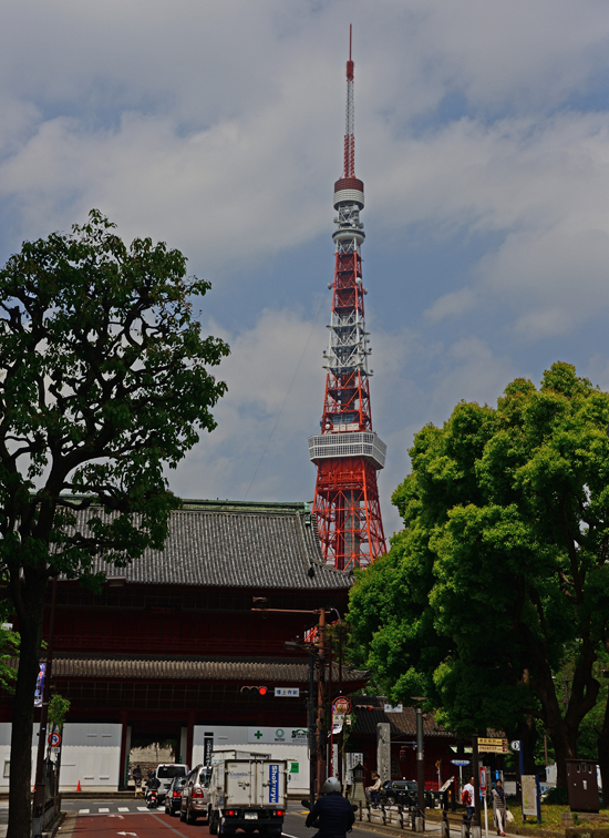 DSC_1546-2.jpg