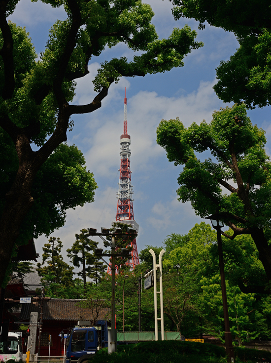 DSC_1551-2.jpg