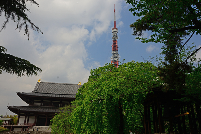 DSC_1576-2.jpg