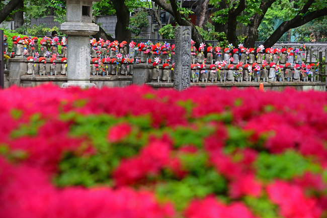 DSC_1578-2.jpg