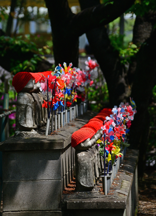 DSC_1614-2.jpg