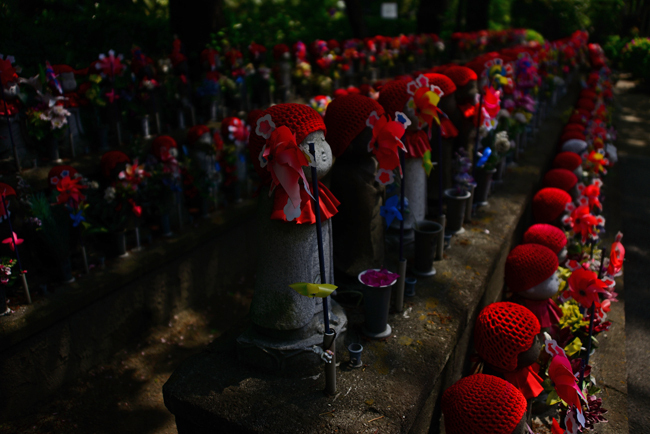 DSC_1627-2.jpg