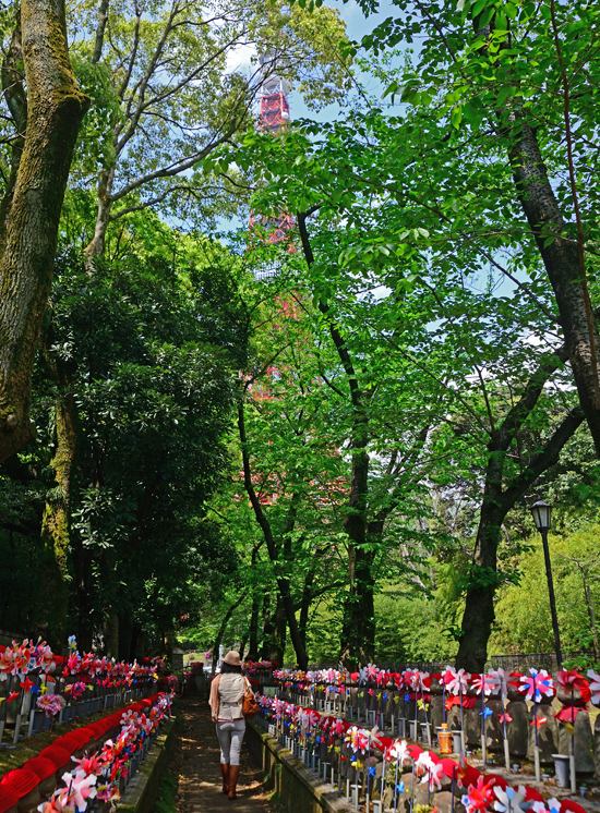DSC_1635-2.jpg