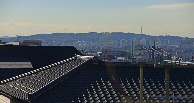 DSC_1650-2.jpg