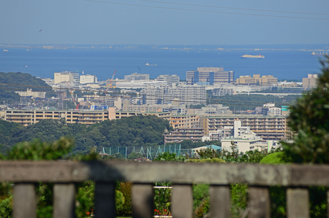 DSC_1675-2.jpg
