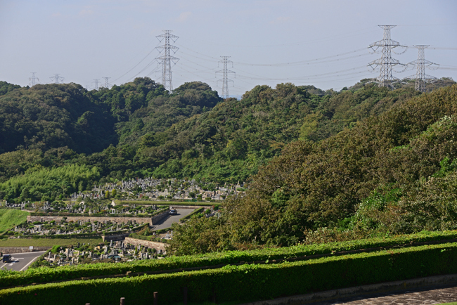 DSC_1683-2.jpg