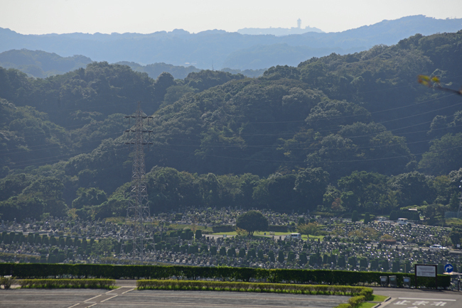 DSC_1703-2.jpg