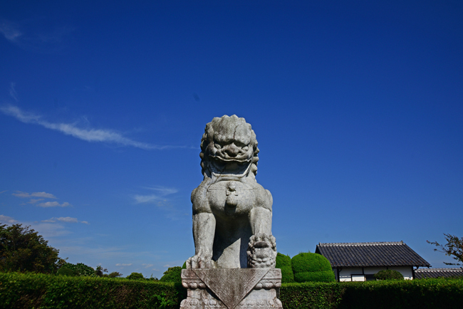 DSC_1716-2.jpg