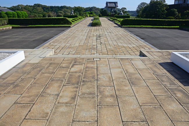 DSC_1721-2.jpg