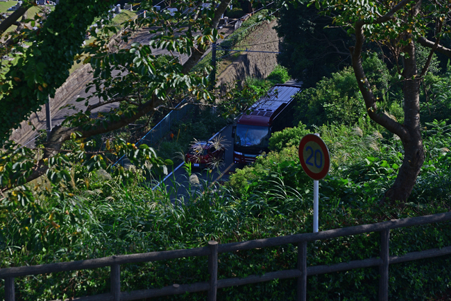 DSC_1740-2.jpg