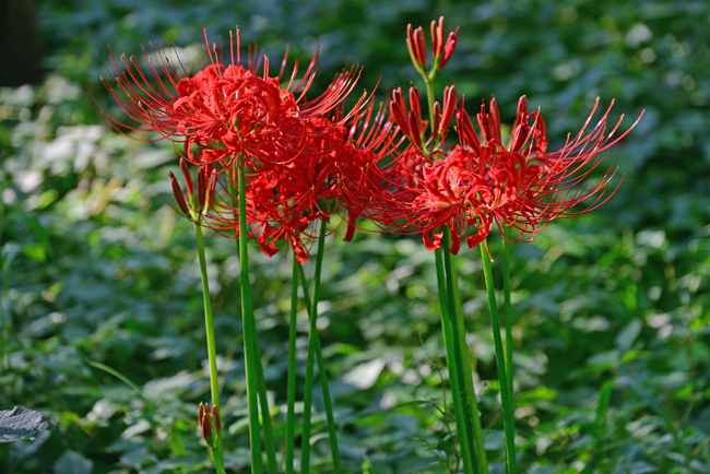 DSC_1790-2.jpg