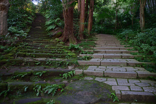 DSC_1798-2.jpg