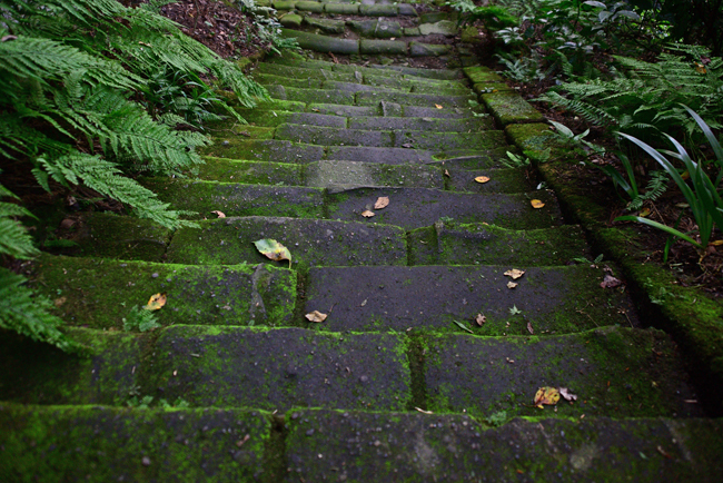 DSC_1803-2.jpg