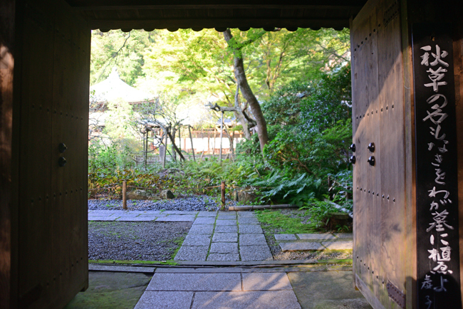 DSC_1821-2.jpg