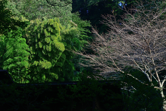 DSC_1824-2.jpg