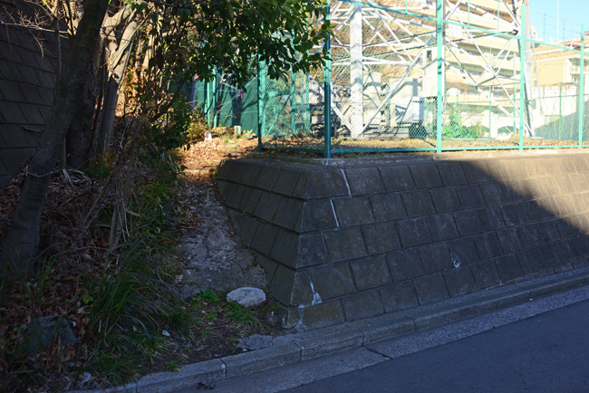 DSC_1837-2.jpg