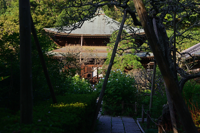 DSC_1842-2.jpg