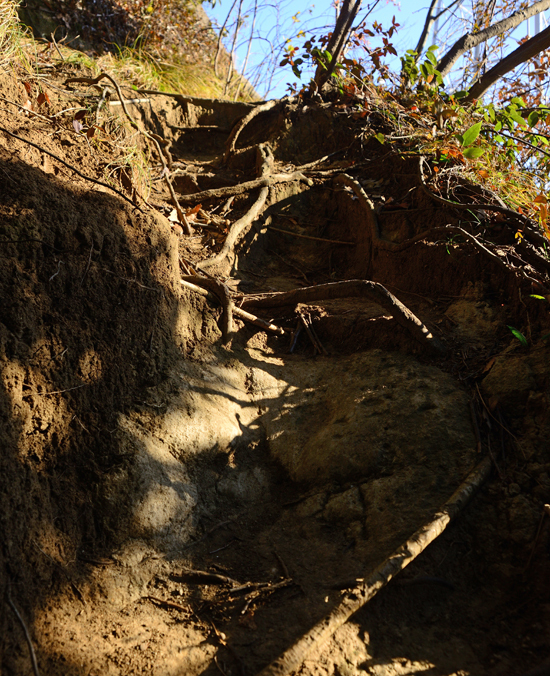 DSC_1843-2.jpg