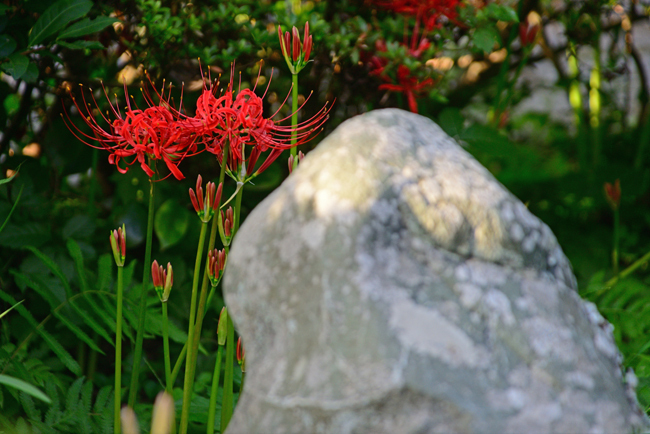 DSC_1856-2.jpg