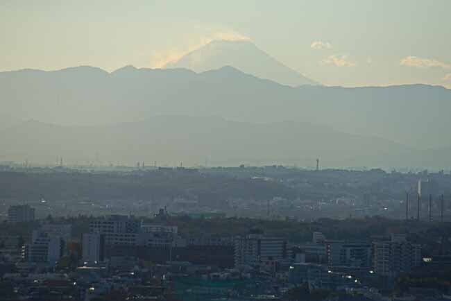 DSC_1865-3.jpg
