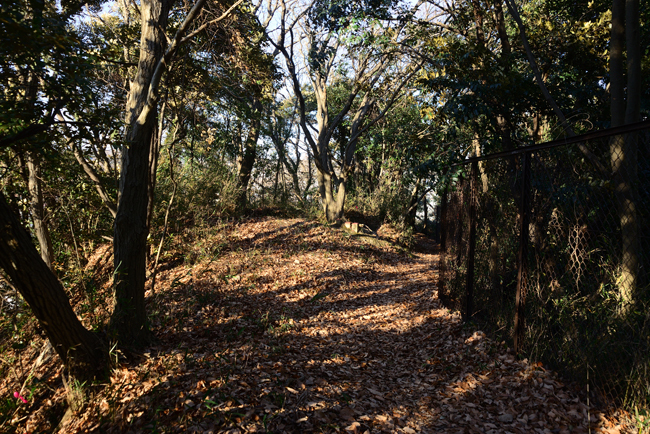 DSC_1877-2.jpg