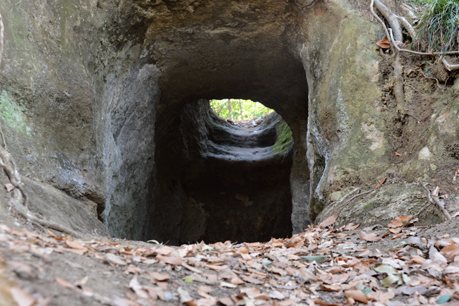DSC_1892-2.jpg