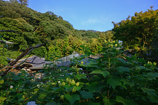 DSC_1894-2.jpg