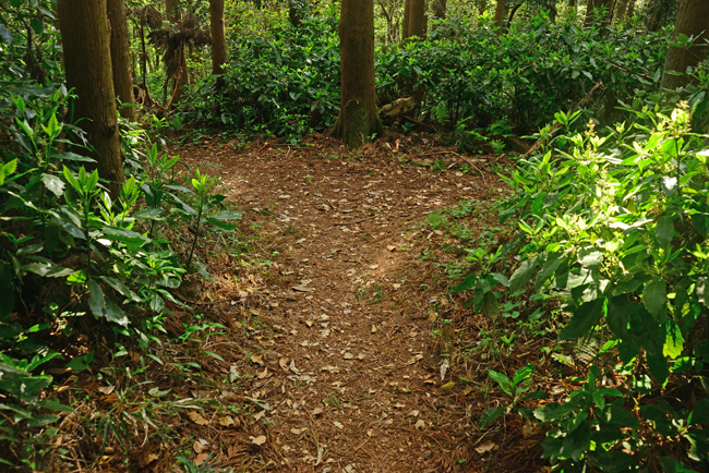 DSC_1896-2.jpg